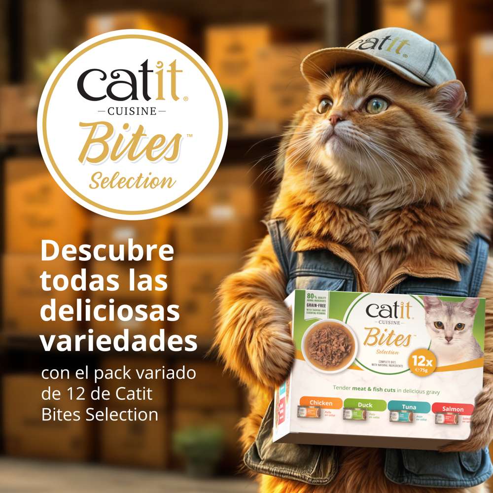 Trocitos de carne en salsa para gatos Catit Cuisine Bites - Image 10