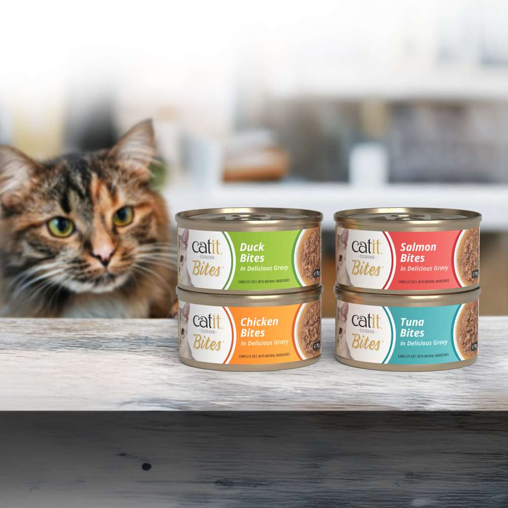 Trocitos de carne en salsa para gatos Catit Cuisine Bites - Pack variado de 12 - Image 10
