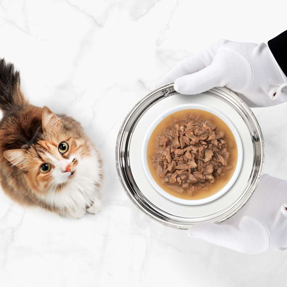 Trocitos de carne en salsa para gatos Catit Cuisine Bites - Pack variado de 12 - Image 9